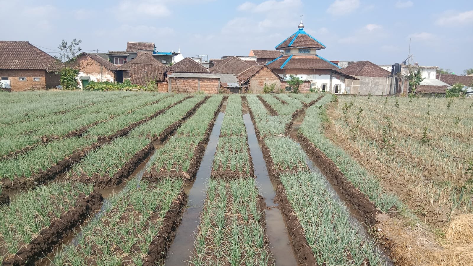 Lahan yang akan dijual akhirnya dibatalkan (Yon)