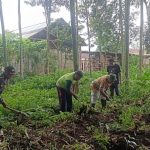 Babinsa Wonokoyo Dukung Program Ketahanan Pangan, Bantu Warga Tanami Lahan Kosong