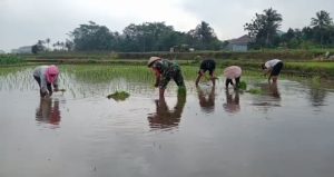 IMG-20240618-WA0040