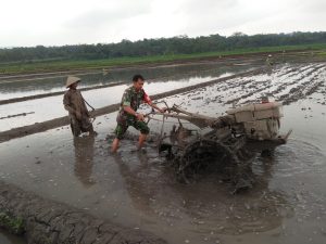 IMG-20240620-WA0045