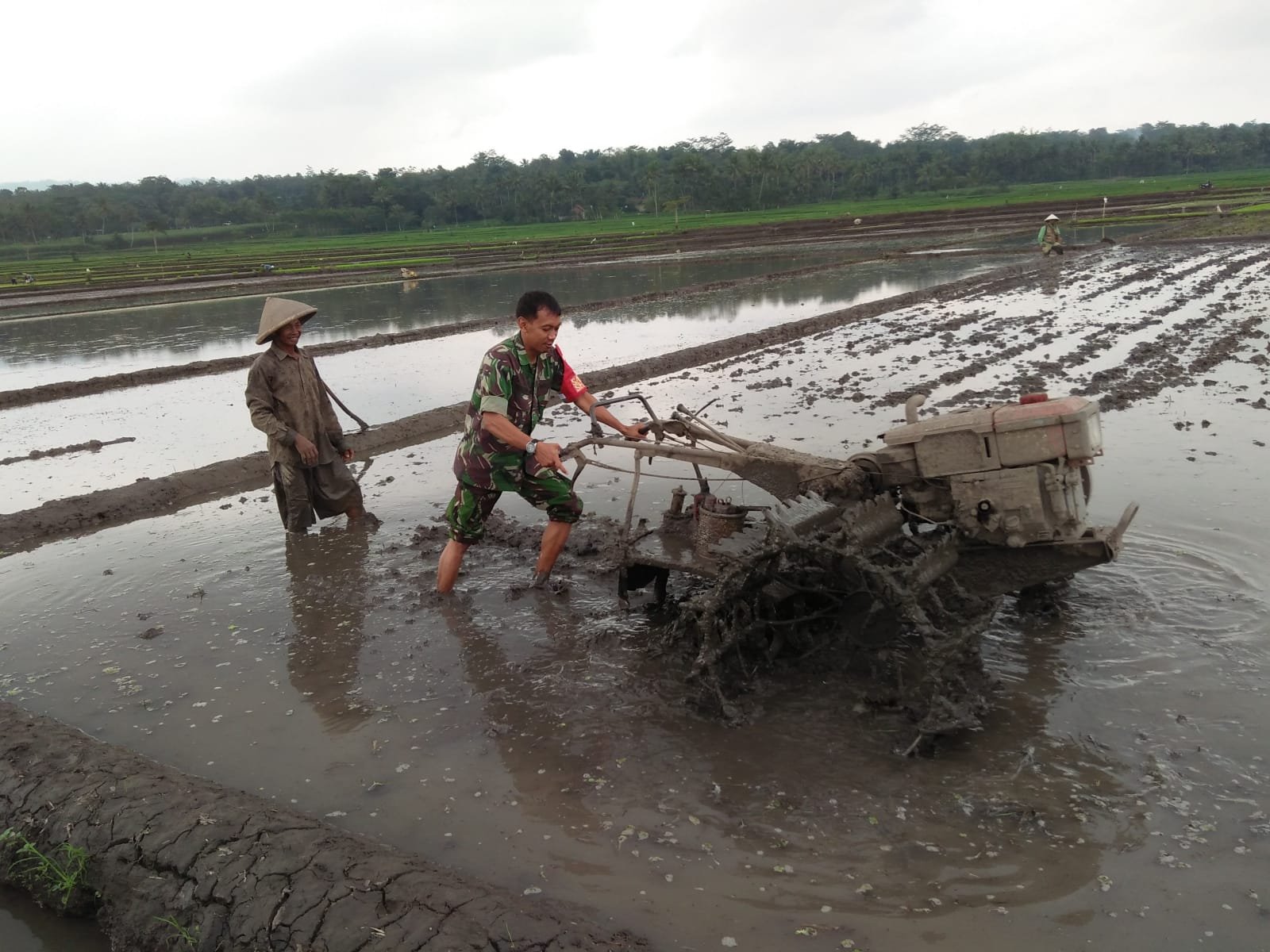 IMG-20240620-WA0045