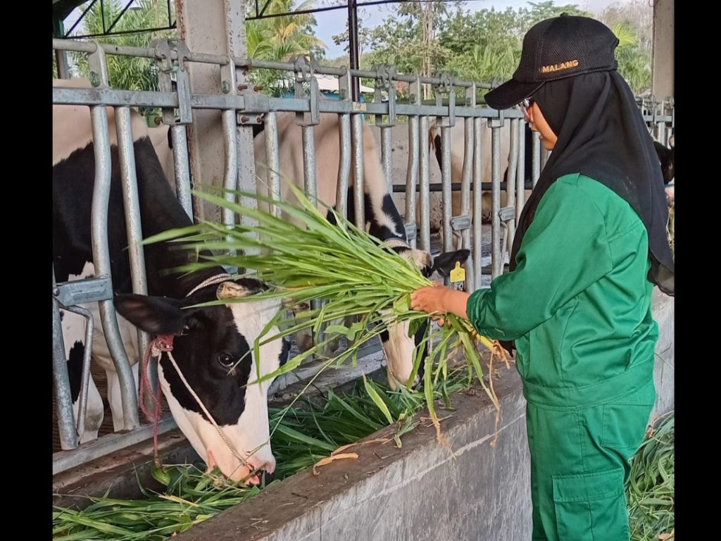 Agribisnis di Persimpangan Jalan, Suara Mahasiswa Menyongsong Dampak Tarif Amerika Serikat