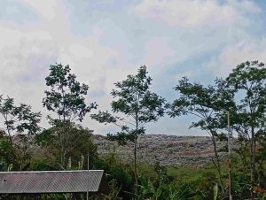 img_1756195116480