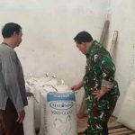 PANTAU PENGGILINGAN PADI BABINSA ARJOWINANGUN JAGA KUALITAS GABAH KERING