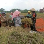 Kinerja Dunia Usaha di Wilayah Kerja BI Malang Tumbuh Positif pada Triwulan III 2025