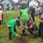 Peduli Lingkungan Babinsa Bandulan Penghijuan bersama warga
