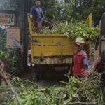 Babinsa Klojen Dampingi DLH Kota Malang Pangkas Ranting Pohon Demi Kenyamanan dan Keselamatan Pengguna Jalan