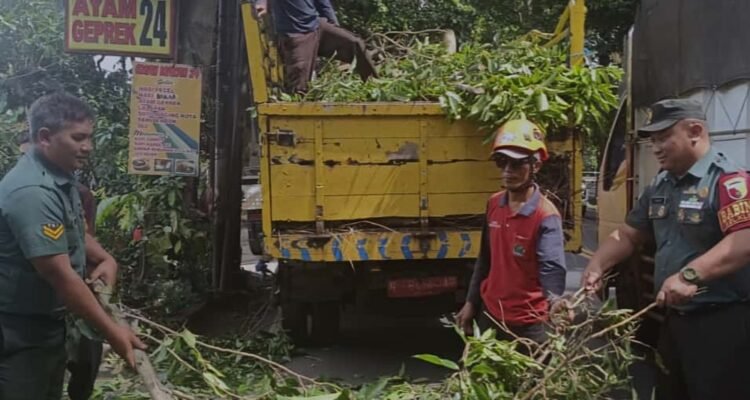 Babinsa Klojen Dampingi DLH Kota Malang Pangkas Ranting Pohon Demi Kenyamanan dan Keselamatan Pengguna Jalan
