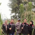 Beri Edukasi Warga, Mahasiswa UMM Sulap Limbah Sereh Jadi Karbol