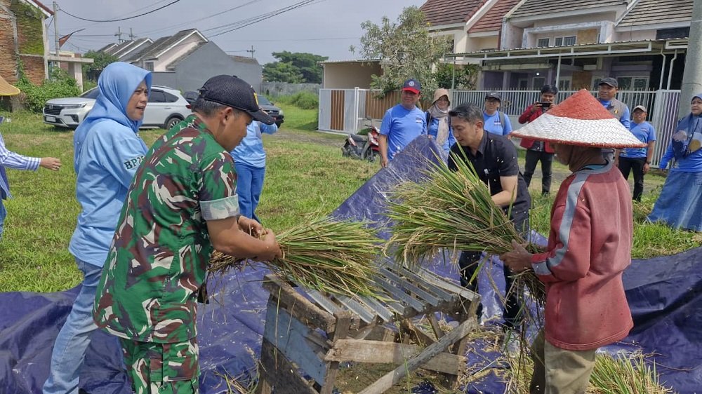 Babinsa Bandungrejosari Dampingi Gapoktan Rukun Gawe Santoso Laksanakan Pengubinan Panen Padi