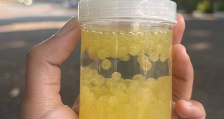 Manfaatan Limbah Kulit Jeruk Menjadi Eco-Gel, Karya Ilmiah Santri PPI AMF Tembus Ajang Internasional, Sabet Dua Medali