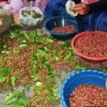 Kopi Lempeni, Racikan Minuman Herbal Hasil Inovasi Warga Kampung Ditotrunan Lumajang