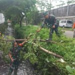 Langkah Mitigasi Bencana Koramil Blimbing bersama Warga Pembersihan Sedimen Sungai