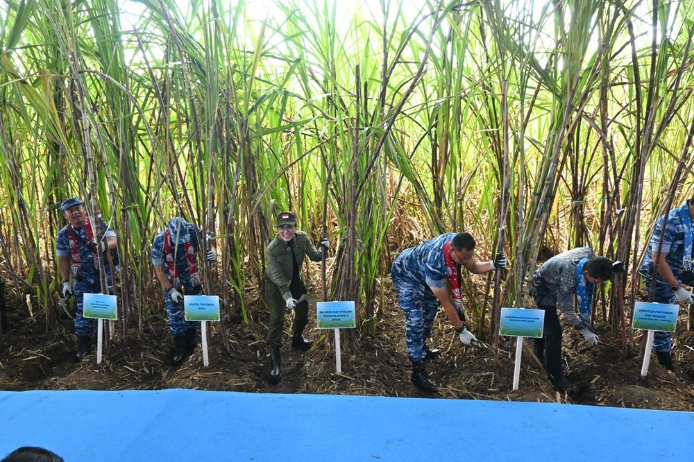 Panen Raya Tebu di Lanud Abdurachman Saleh: Bukti Nyata Sinergi untuk Kedaulatan Pangan dan Energi