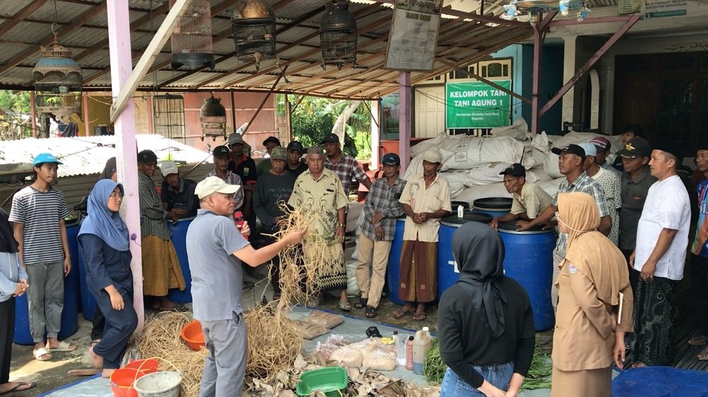 Tim Fapet UB Tingkatkan Produktivitas Sapi Madura dengan Mengubah Limbah Menjadi Pakan