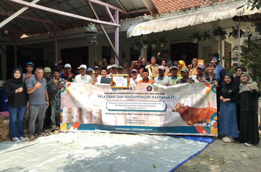 Tim Fapet UB Tingkatkan Produktivitas Sapi Madura dengan Mengubah Limbah Menjadi Pakan
