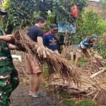 Babinsa Arjosari Babinsa Arjosari Bersama Warga Gelar Kerja Bakti Pembongkaran Gazebo