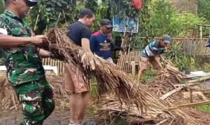 Babinsa Arjosari Bersama Warga Gelar Kerja Bakti Pembongkaran Gazebo