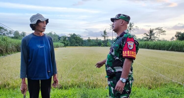 Babinsa Buring Komsos Bersama Petani Wujud Kemanunggalan TNI dan Rakyat