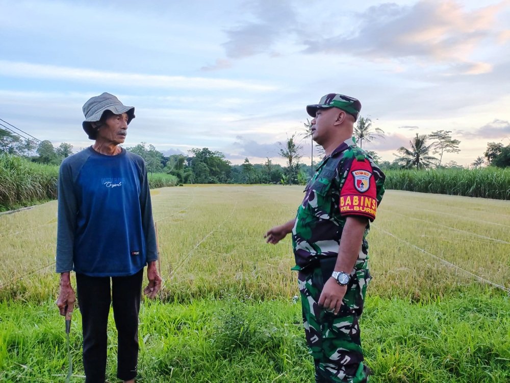 Babinsa Buring Komsos Bersama Petani Wujud Kemanunggalan TNI dan Rakyat