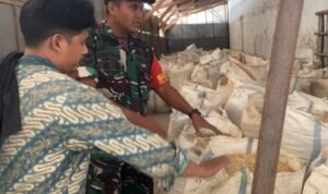 Babinsa Lowokwaru Dampingi Proses Penggilingan Padi UD Maju Berkah