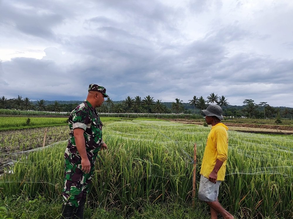 Babinsa Tlogowaru Bersama Bhabinkamtibmas Sigap Amankan Lokasi Pohon Roboh demi Keselamatan Pengguna Jalan