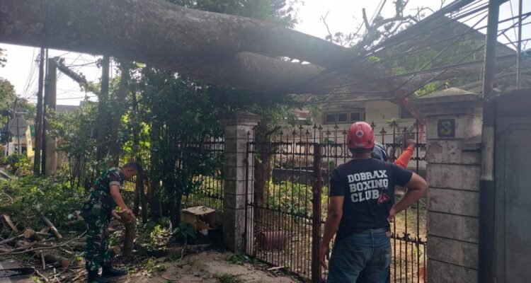 Babinsa Oro Oro Dowo Babinsa Oro-Oro Dowo Evakuasi Pohon Sono Roboh yang Menimpa Rumah Kosong