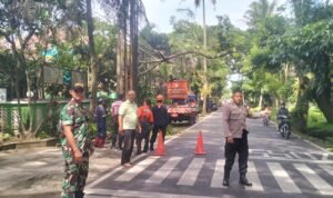 Babinsa Tlogowaru Bersama Bhabinkamtibmas Sigap Amankan Lokasi Pohon Roboh demi Keselamatan Pengguna Jalan
