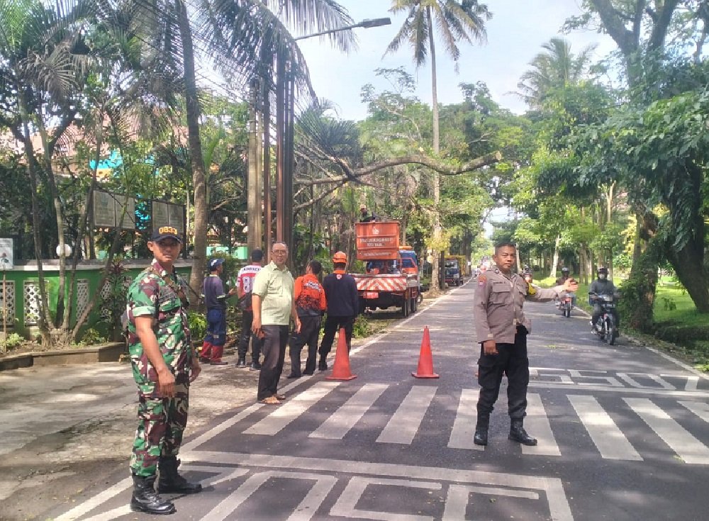 Babinsa Tlogowaru Bersama Bhabinkamtibmas Sigap Amankan Lokasi Pohon Roboh demi Keselamatan Pengguna Jalan