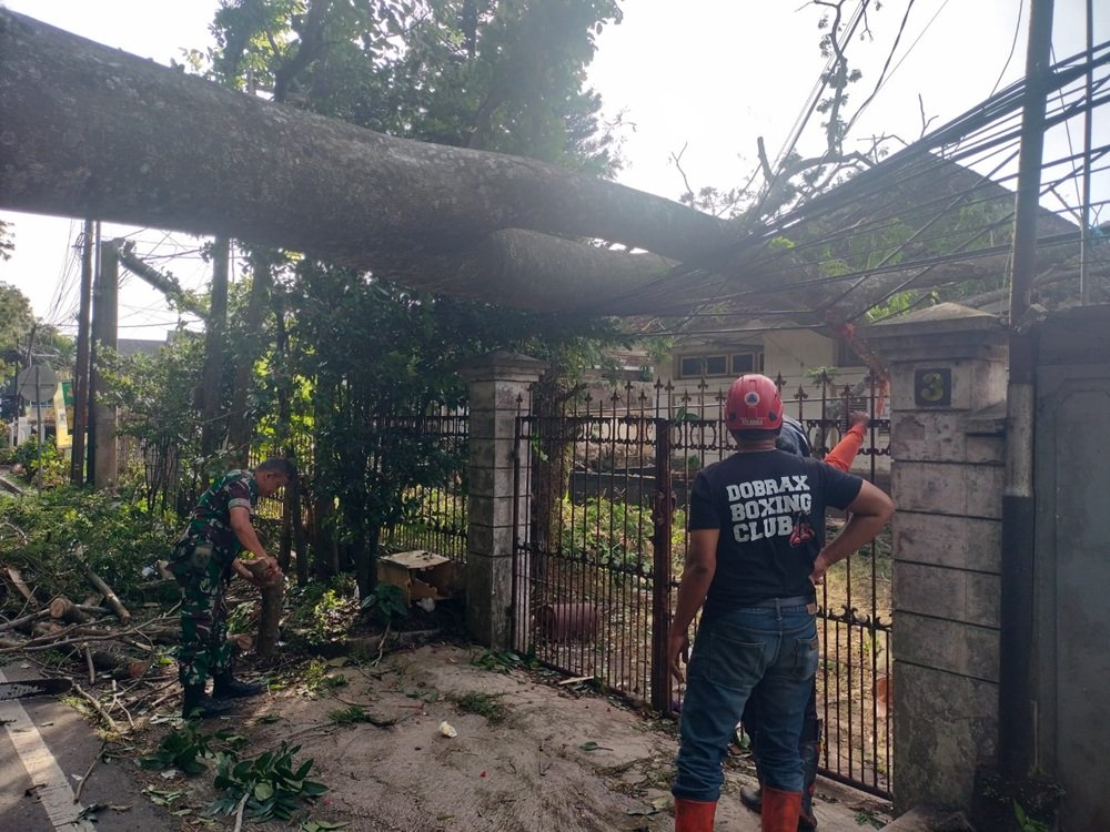 Babinsa Oro-Oro Dowo Evakuasi Pohon Sono Roboh yang Menimpa Rumah Kosong