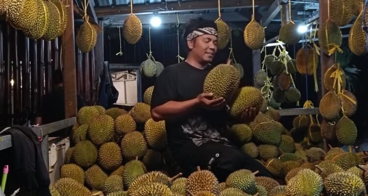 Kedai Sakura Alas Veenuz Trawas Tawarkan Durian Lokal Bergaransi