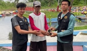 KKN Untidar (2) Mahasiswa KKN Untidar Magelang Beri Edukasi Penghijauan di Desa Pakunden, Tanam Pohon untuk Cegah Banjir dan Longsor