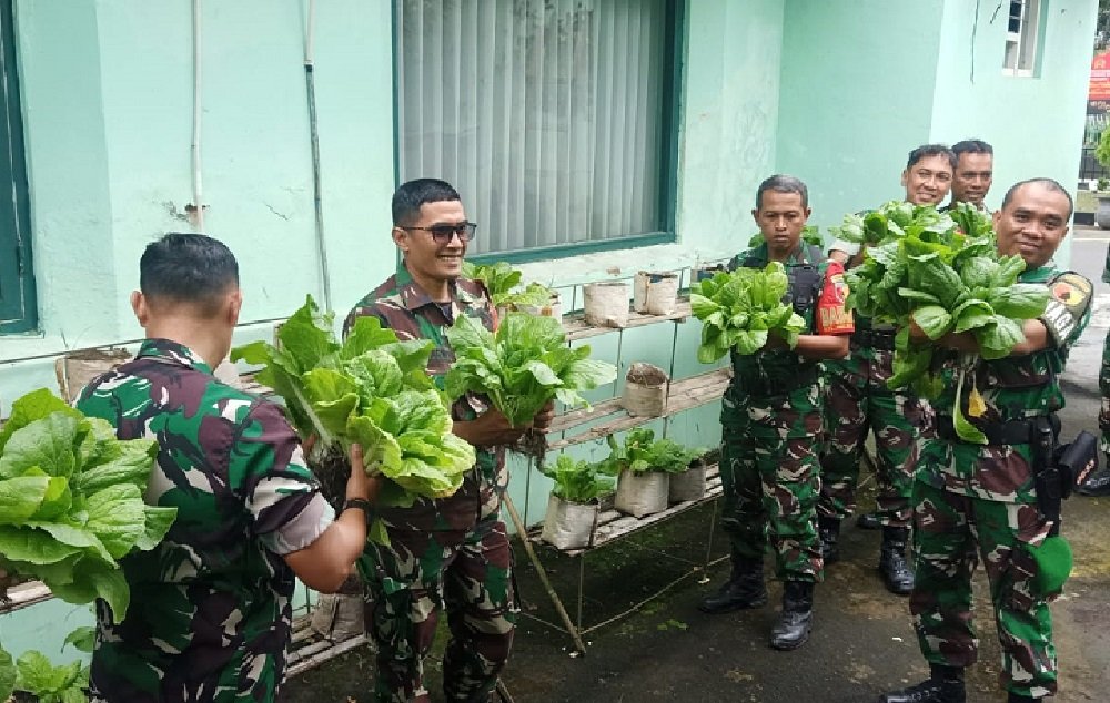 Kodim 0833 Panen Sawi dalam Polibag Wujud Nyata Contoh Kemandirian Ketahanan Pangan