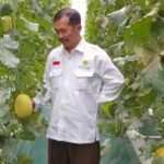 UMM Hadirkan Sentra Smart Farming di Desa Sumbergedang Pasuruan melalui Program Profesor Penggerak UMM Hadirkan Sentra Smart Farming di Desa Sumbergedang Pasuruan melalui Program Profesor Penggerak