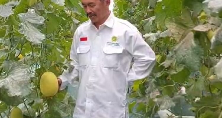 UMM Hadirkan Sentra Smart Farming di Desa Sumbergedang Pasuruan melalui Program Profesor Penggerak UMM Hadirkan Sentra Smart Farming di Desa Sumbergedang Pasuruan melalui Program Profesor Penggerak