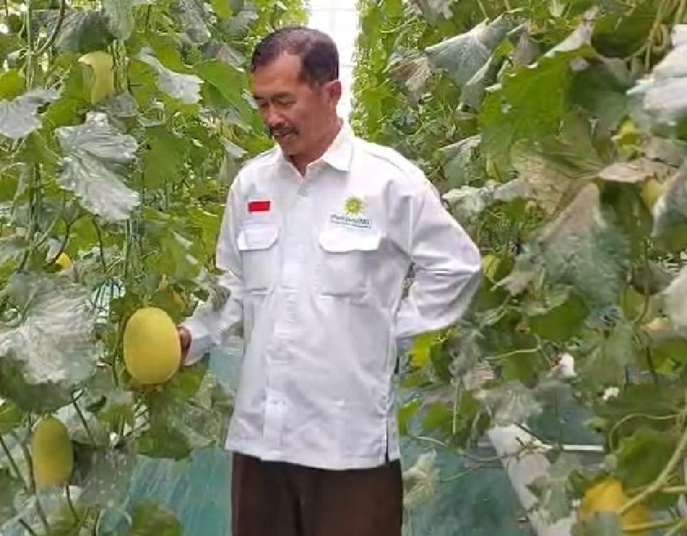 UMM Hadirkan Sentra Smart Farming di Desa Sumbergedang Pasuruan melalui Program Profesor Penggerak