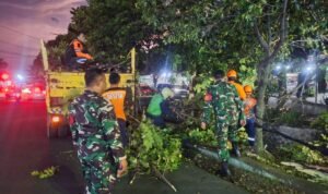 Babinsa Sawojajar Sigap Dampingi Evakuasi Ranting Pohon Tersangkut Kabel Listrik