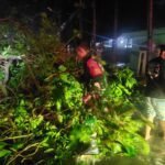 Babinsa dan Warga Blimbing Sigap Tangani Pohon Tumbang di Kawasan Rampal