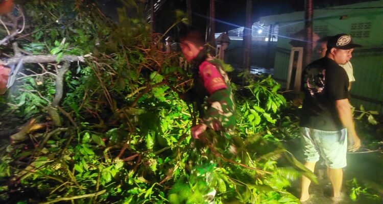 Babinsa dan Warga Blimbing Sigap Tangani Pohon Tumbang di Kawasan Rampal