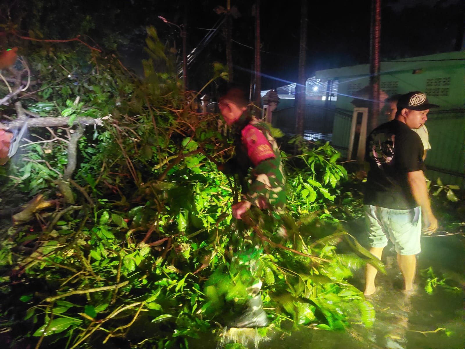 Babinsa dan Warga Blimbing Sigap Tangani Pohon Tumbang di Kawasan Rampal