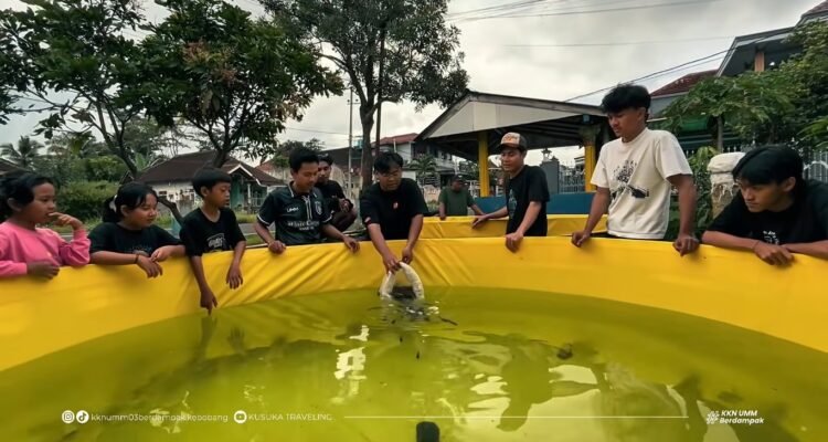 Inovasi Mahasiswa UMM, Budidaya Nila Sistem Bioflok Jadi Solusi Lahan Sempit .(Ist)