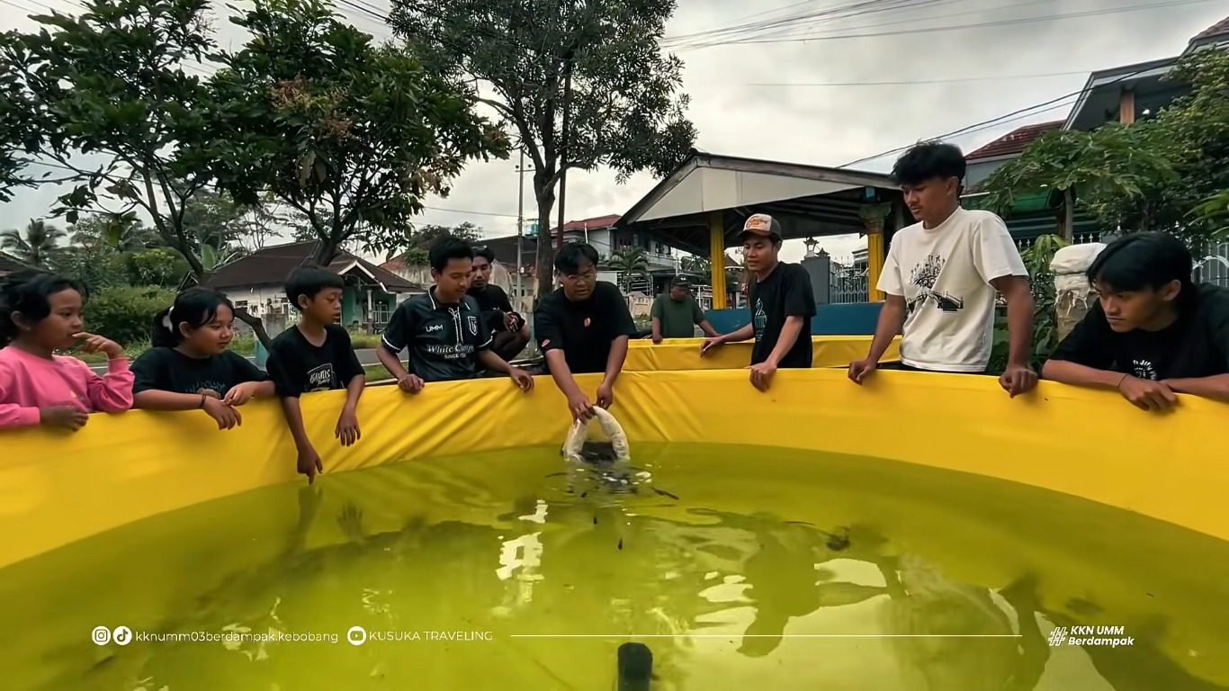 Inovasi Mahasiswa UMM, Budidaya Nila Sistem Bioflok Jadi Solusi Lahan Sempit .(Ist)