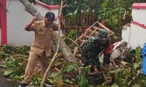 Babinsa Wonokoyo Sigap Evakuasi Pohon Tumbang Timpa MTs Hidayatus Sibyan