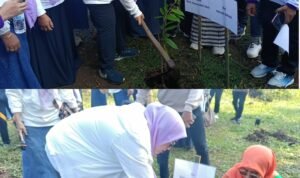 Perempuan Bergerak, Bumi Diselamatkan! Ribuan Kader Fatayat NU Tanam Harapan Hijau di Harlah ke-76.
