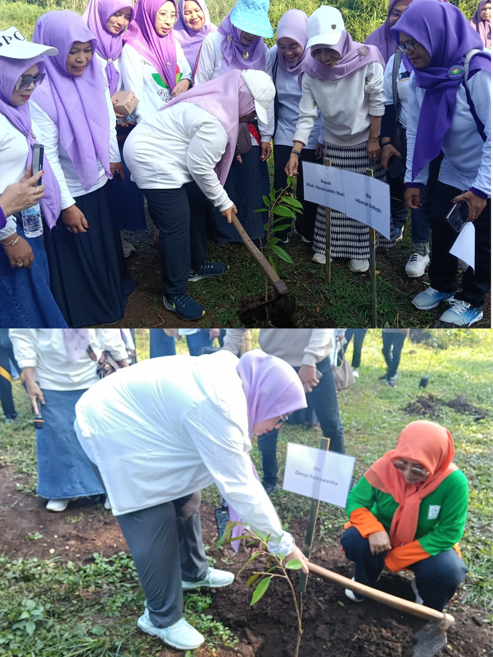 Perempuan Bergerak, Bumi Diselamatkan! Ribuan Kader Fatayat NU Tanam Harapan Hijau di Harlah ke-76.