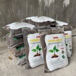 Dari Sisa Makanan ke Taman Kampus: UMM Sulap 402 Ton Sampah Jadi Emas Hijau, Daur Ulang 92% Limbah Organik