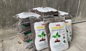 Dari Sisa Makanan ke Taman Kampus: UMM Sulap 402 Ton Sampah Jadi Emas Hijau, Daur Ulang 92% Limbah Organik