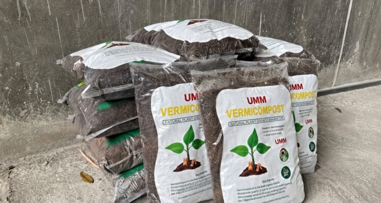 Dari Sisa Makanan ke Taman Kampus: UMM Sulap 402 Ton Sampah Jadi Emas Hijau, Daur Ulang 92% Limbah Organik