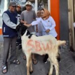 Gotong Royong Jadi Kekuatan, Kopwan SBW Tebar Kepedulian lewat 13 Hewan Qurban