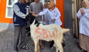 Gotong Royong Jadi Kekuatan, Kopwan SBW Tebar Kepedulian lewat 13 Hewan Qurban
